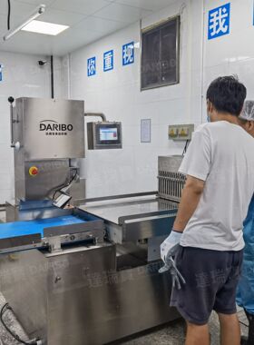 W全自动锯骨机减少事故发生冻肉冻鱼切割机锯骨机切骨机屠宰场用