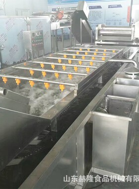 全自动辣椒大蒜气泡清洗机果蔬清洗机器商用叶类菜清洗流水线