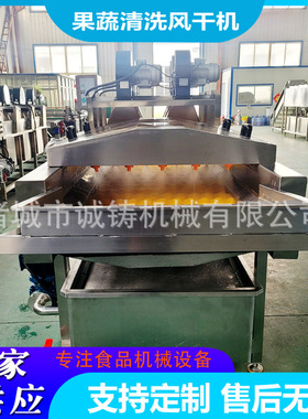 果蔬平行毛辊清洗机西梅毛刷洗果线全自动油桃毛辊清洗风干机