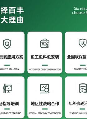 防水型臭氧发生器人工湖锦鲤池灭藻抑藻去除异味水处理杀菌消毒机