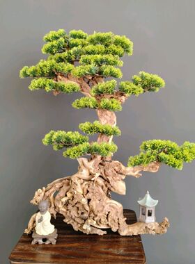 中式仿真根艺迎客松根雕老桩创意禅意摆件客厅茶室酒店场地布景
