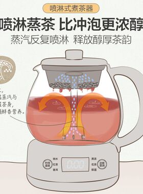 小熊煮茶器全自动蒸汽烧水养生壶