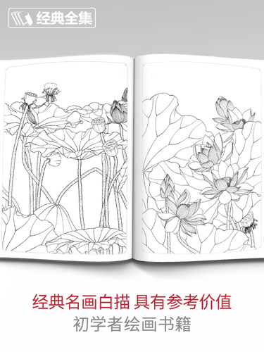 经典全集 白描画谱5000例上篇花卉蔬果正版工笔画入门教程成人白描工笔底稿花鸟鱼虫侍女工笔画手绘线描画牡丹水仙树叶白描画集 - 图2