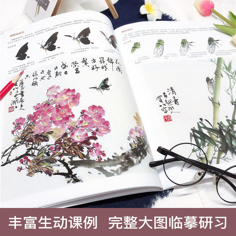 正版中国画技法教学典范套装6册牡丹+蔬果+花鸟+兰竹+梅菊的画法零基础学传统水墨国画入门基础教程自学国画教程美术培训书籍-图2