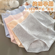 Pregnant Woman Pure Cotton Briefs High Waist Comfort No Mark Pure Cotton Crotch Gestation Special Gestation Mother Toabdominal Large Yard Pants