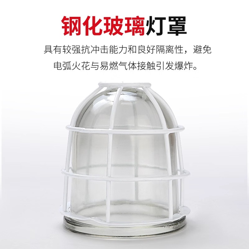 防爆型声光报警器BBJ防爆警示灯LED信号灯110分贝220V24V 警报灯