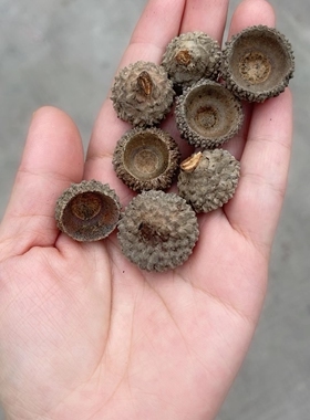 50个装松果落叶松干花小松果圣诞装饰迷你款1.5-2.5厘米