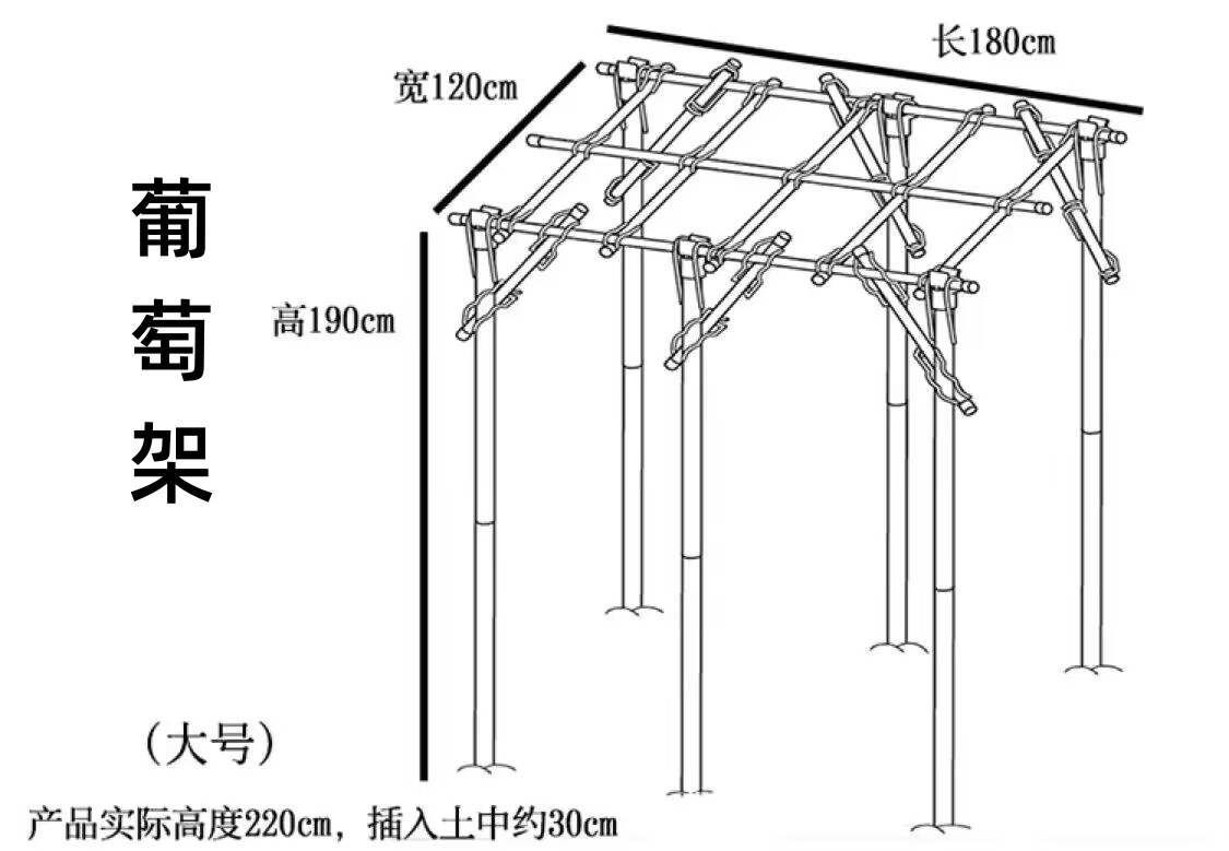 竹竿菜园搭架篱笆栅栏粗细跳舞竹竿装饰粗楠竹子防腐彩旗竹竿包邮 - 图2