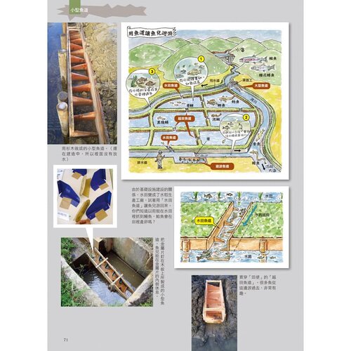 预售 里山生活实践术：友善运用山林Ｘ土地Ｘ溪流，动手盖房子、有机种植、造土窑的永续生活方案 晨星 大内正伸 自然科普 - 图3