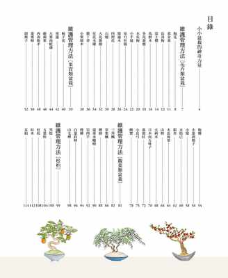 现货原版进口书盆栽世界编辑部 小树盆栽技法 全彩插画解说书 瑞升 虎窝淘