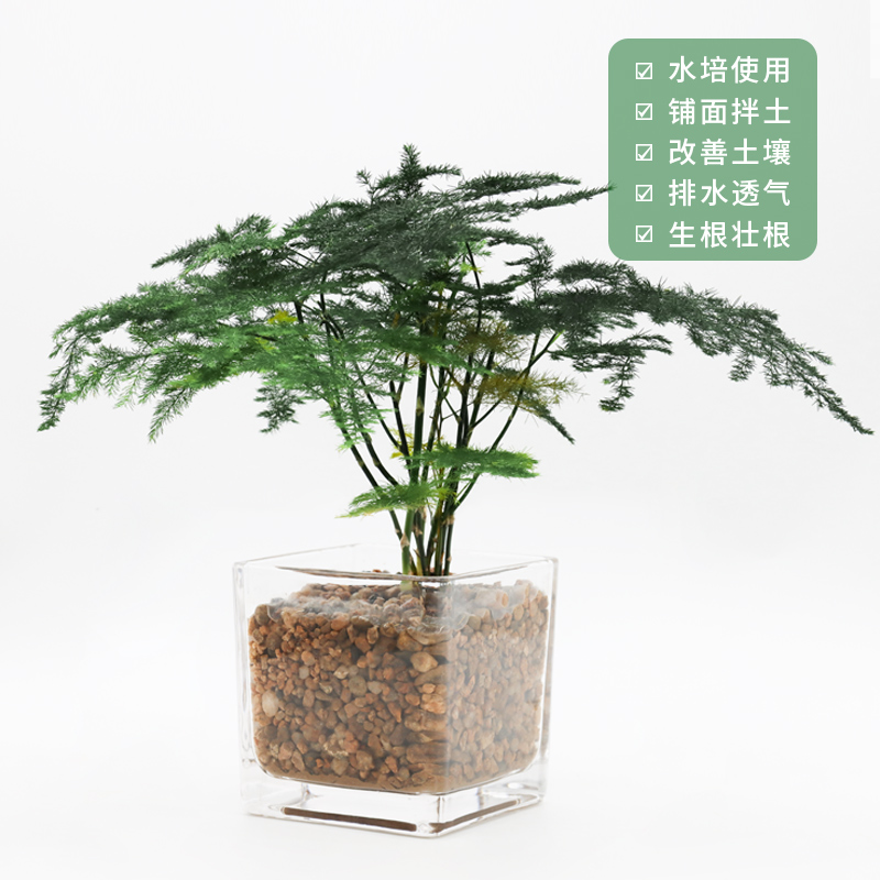 天然粗河沙多肉植物铺面装饰水晶沙石子三湖鱼缸沙石造景底砂沙粒 - 图2