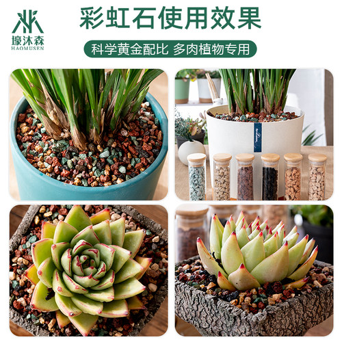 虹彩石多肉全颗粒土植物铺面石彩虹石兰花种植营养土麦饭石透气 - 图2
