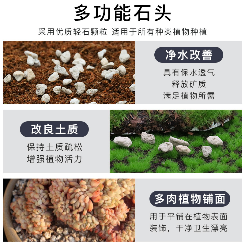 日本进口浮石轻石多肉植物铺面颗粒花卉盆栽拌土植料石头兰花介质-图1