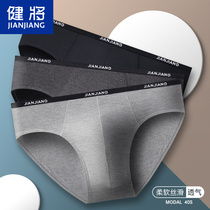 Bodybuilding mens underpants male Modale triangle pants loose and breathable big code ice silk mens guys narrow side bottom pants