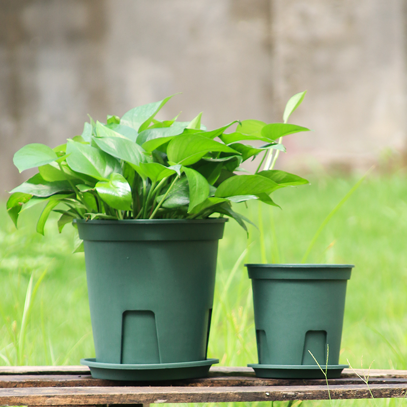 老花农塑料方形控根盆月季苗扦插铁线莲种植花盆透气排水防烂根 - 图0