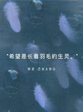 mrzhang玻璃风铃原创羽毛少女男