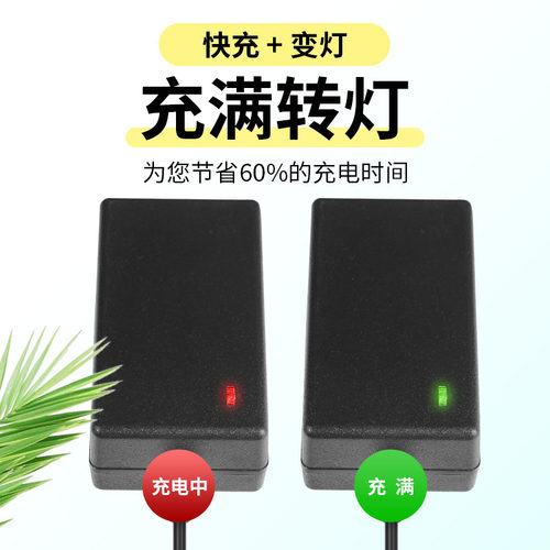 6V12V儿童车三轮摩托车挖掘机玩具车电动四轮越野汽车充电器通用A - 图0