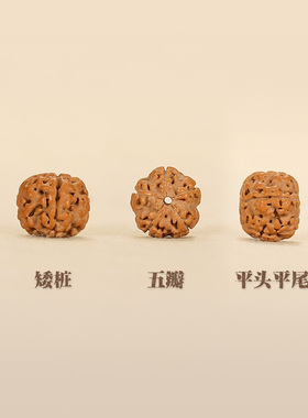 樱【云舒】金刚菩提子