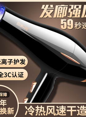 德国电吹风机家用5000理发店吃飞3000大功率负离子护发廊大风力