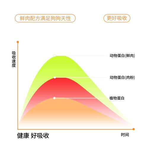 捷豹小型犬成犬幼犬金毛拉布拉多边牧柯基阿拉斯加泰迪通用型狗粮 - 图1