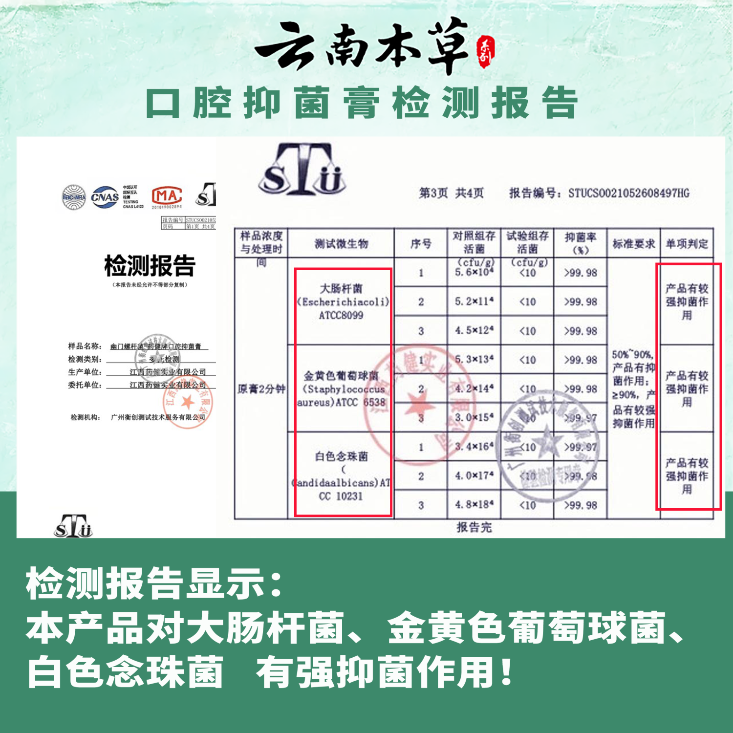 双生林云南本草牙膏去口臭抑菌口气清新深层清洁美白护齿100g一支