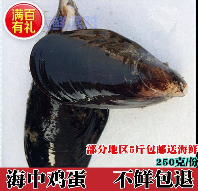 海鲜鲜活大青口贝新鲜大海虹野生淡菜贻贝青口贝海水产鲜贝类烧烤_虎窝淘