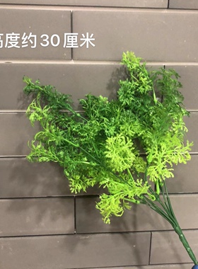 仿真青苔植物苔藓草白发藓草丛绿植造景生态园林橱窗摆放植物墙