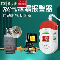 Automatic Breaking Valve Leakage Detection Kitchen Gas Siren Gas Natural Liquefaction Catering Home Business Hotel