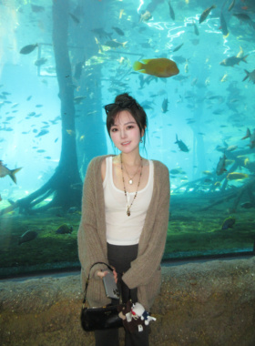 薄雾之季 黄打屁天然石串虎眼石小众美拉德复古叠戴穿搭毛衣项链