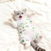 Cat summer anti-shedding pajamas, anti-licking home clothes