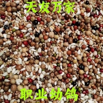 Beijing Tianyou ten thousand Pigeon Grain (Professional Young Pigeon) Pigeon Grain Letter Racing Pigeon Food Feed 50 Kilos Jiangsu