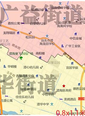 新款澄海区地图定制省市县区书房办公室装饰画行政街道图