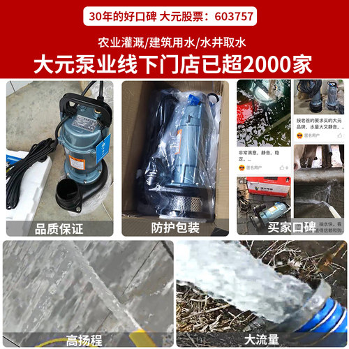 大元潜水泵220V家用高扬程井水抽水机高压大流量水泵农用灌溉QDX - 图0