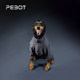 PEBOT dog cotton jacket four-leg windproof 3M