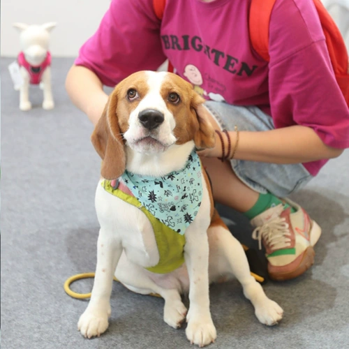 QZee Италия Unitedpets полотенце для слюны домашних животных треугольный шарф нагрудник для кошек и собак против слюней маленьких и средних собак