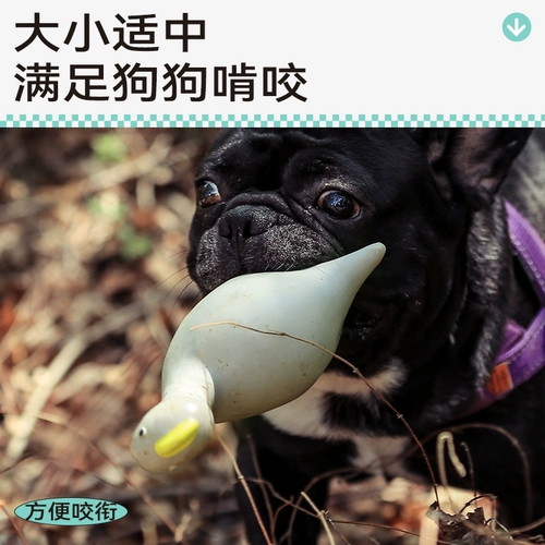 QZee Игрушки для собак QMONSTER Натуральный латекс Звук динозавра Серия Эластичный устойчивый к укусам Скука Корги Тедди