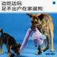 QMONSTER elephant tug of war to relieve boredom and sound dog toy
