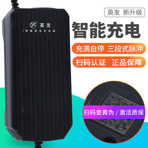 英发电动车电瓶充电器48V12AH20AH60V80V72伏三轮车新日爱玛雅迪