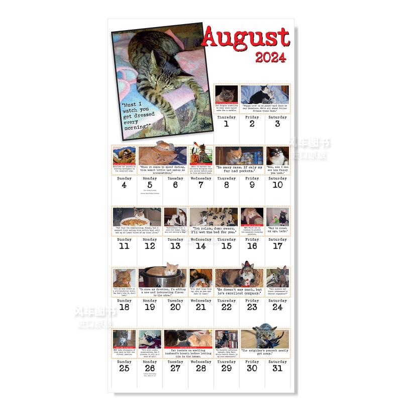 【预 售】Bad Cat Wall Calendar 2024: Celebrating the Misfits of the Feline World 日历 挂历 英文原版 - 图3