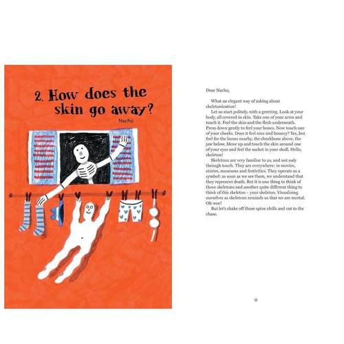 【现货】死了都要问 38个关于死亡的问题  死亡教育绘本Dying to Ask 英文儿童绘本自我认知情绪管理Ellen Duthie精装Tra Books6- - 图2