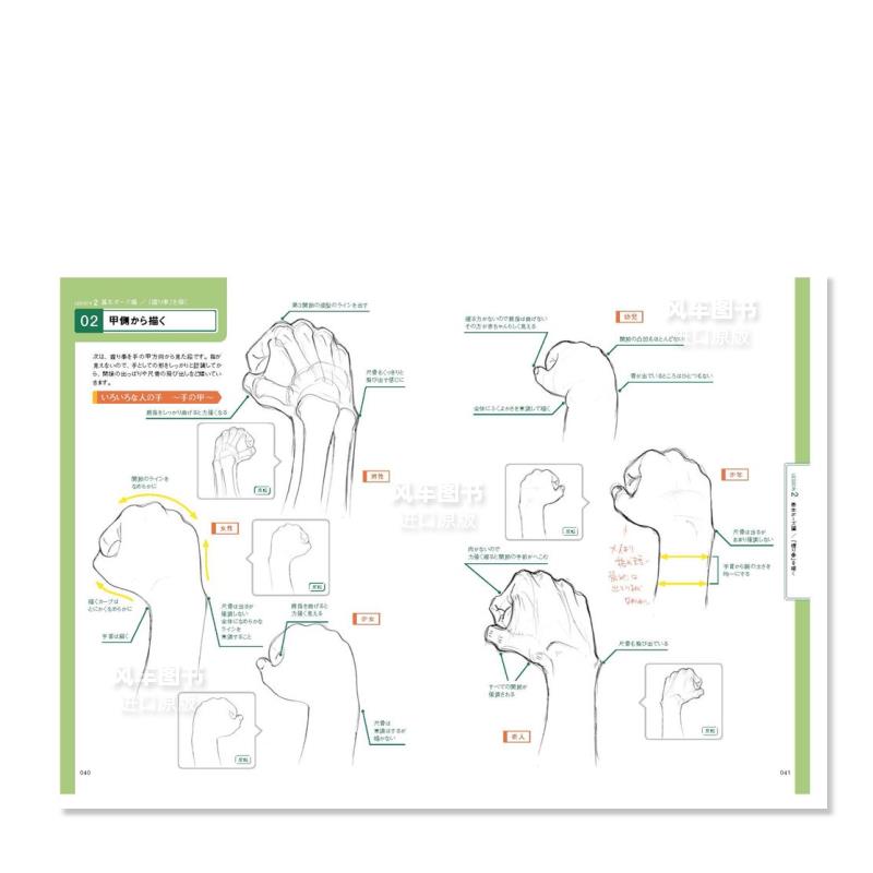 【现货】手的绘画方法手の描き方日文插画技法神志那进口原版外版书籍エムディエヌコ—ポレ-图2