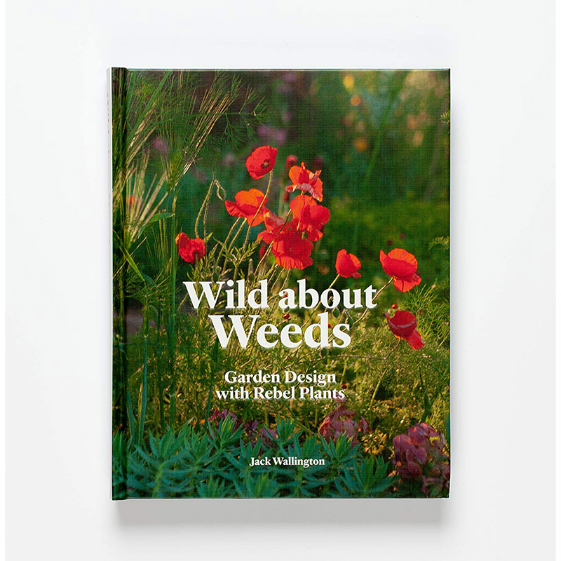 【现货】野草:花园设计与叛逆的植物英文建筑设计园林景观精装进口原版外版书籍Wild about Weeds: Garden Design with Rebel Pla - 图2