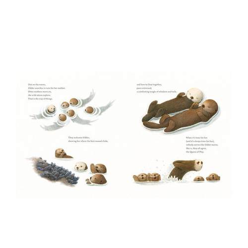 【预售】Odder海獭的故事英文儿童绘本动物生态环保进口原版书精装3-6岁Odder: An Otter's StoryFEIWEL & FRIENDS - 图3