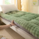 Thickened warm milk velvet mattress soft cushion for home student dormitory bedding plus velvet cushion quilt soft winter
