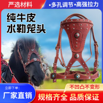 Tête de tête de cage à cheval Rope Pure Bull Cuir Leash Horse Rope Horse Rope Mattether Mattei Horse Outfit New Dragon Cover Metal Buckle Atmosphere