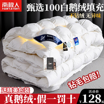 Antarctic duvet with thickened warm winter quilt core 95 white goose down duck suede quilted by cotton quilted by Spring and Autumn Quilt Hotel Single