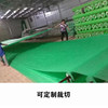 Greening non-woven fabric, seedling cultivation, non-woven fabric planting film, agricultural film, vegetable anti-freeze insulation covering film, breathable film