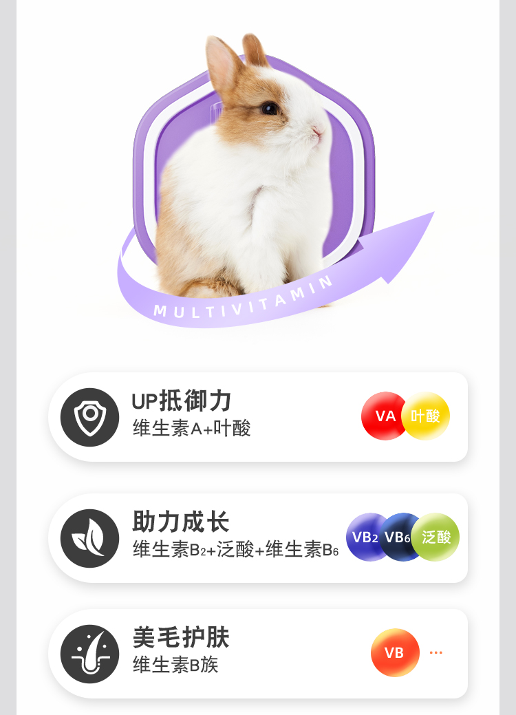 龙猫荷兰猪兔子专用补充多维营养维生素片维b兔癣口炎皮肤病vc丸-图2