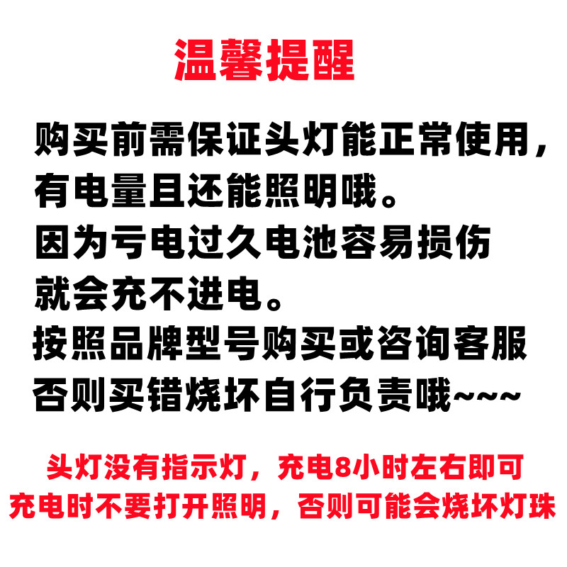 头灯双孔220V充电线电源线尼能质雅雅诺明YM-802量王lw30揽通-图1