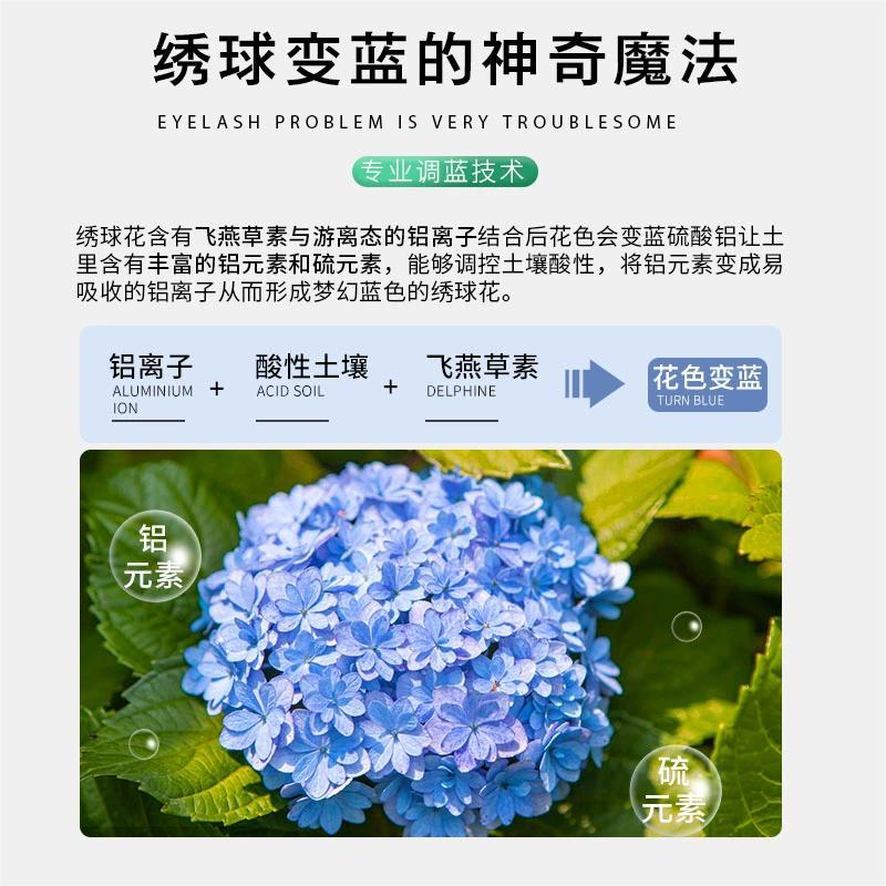 【老花医】宜棵绣球调蓝剂绣球专用肥料硫酸铝让绣球变蓝调色肥-图0